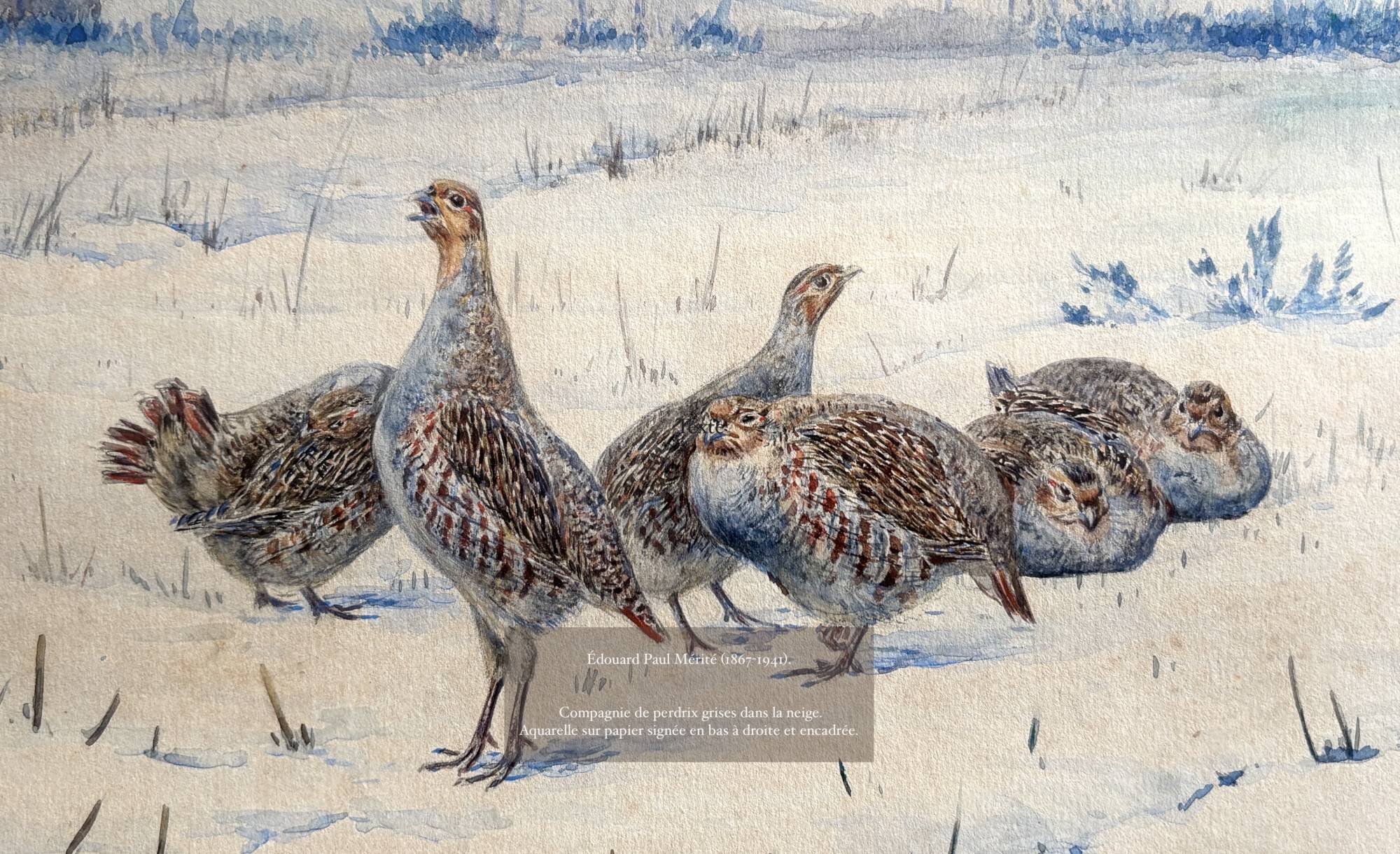 Un regard professionnel sur vos objets.